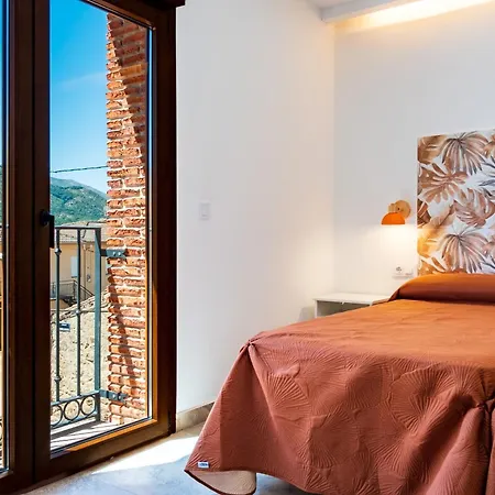 Quercus * Navaluenga