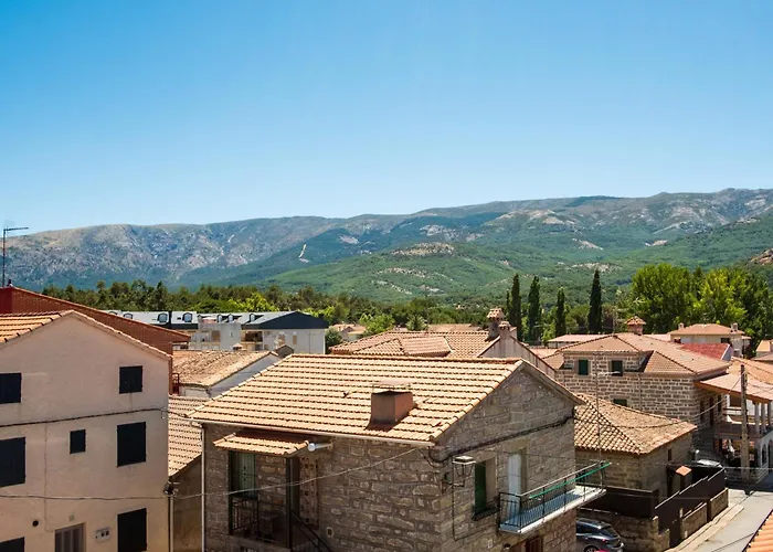 Quercus 나발루엔가