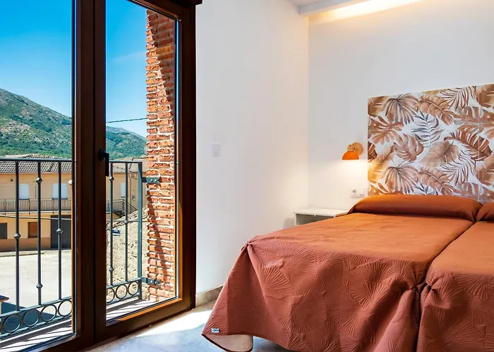 Quercus * 나발루엔가